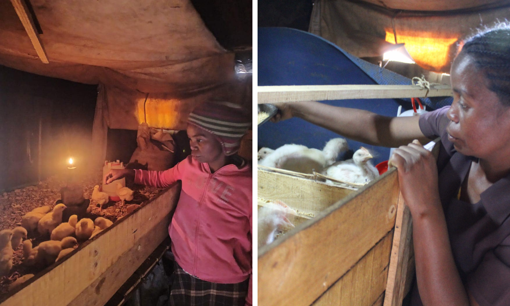 Malagasy woman tending to her chickens in a coop